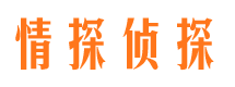 于洪市场调查